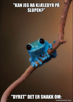 Small Fact Frog