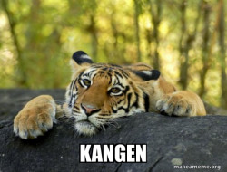 Confession Tiger