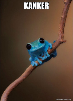 Small Fact Frog