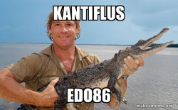 Steve irwin
