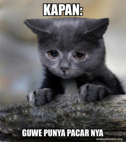 Confession Cat