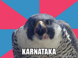 Millennial Falcon