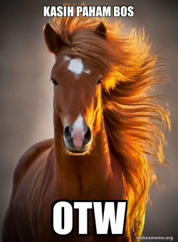 Ridiculously photogenic horse