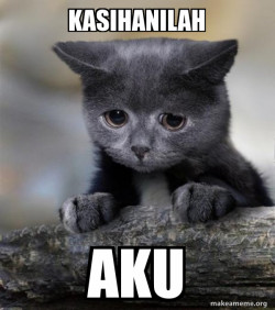 Confession Cat