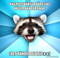 Lame Pun Coon