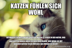 First World Cat Problems