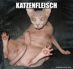 Hairless Cat