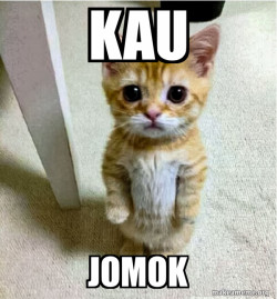 Cute Cat Standing
