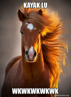 Ridiculously photogenic horse