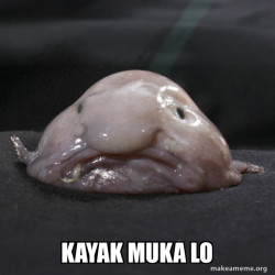 Blobfish