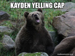 Sarcastic Bear