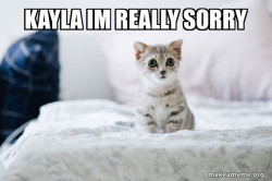 Cute Kitten