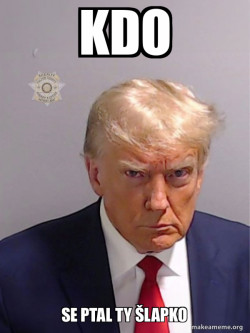 Donald Trump Mugshot
