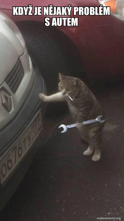Mechanic Cat