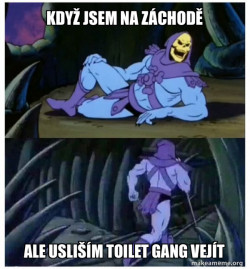 Toilet Facts