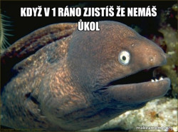 Bad Joke Eel