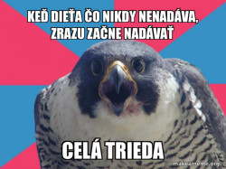 Millennial Falcon