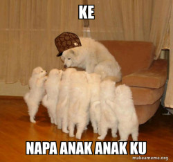 Scumbag Storytelling Dog