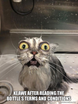 Cat bath