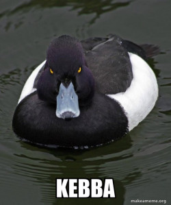 Revenge Duck ( Angry Advice Duck )