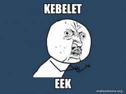 Y U No