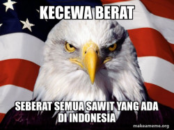 American Pride Eagle