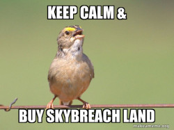 Common Opinion Sparrow