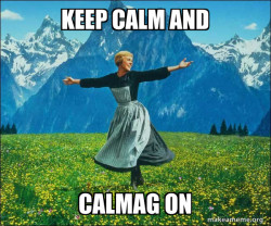 Sound of Music