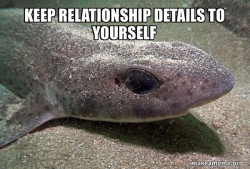 Dirty Joke Dogfish