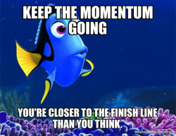 Dory from Nemo  (5 second memory)