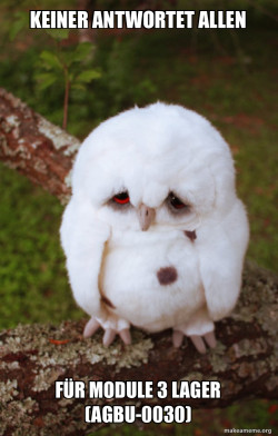 Sad Owl