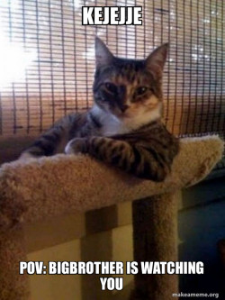 The Most Interesting Cat in the World
