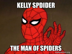 Spiderman - Care factor Zero