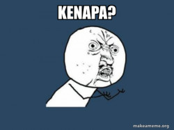 Y U No