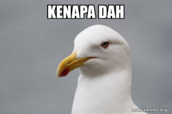 Stuff That Didn't Happen Seagull