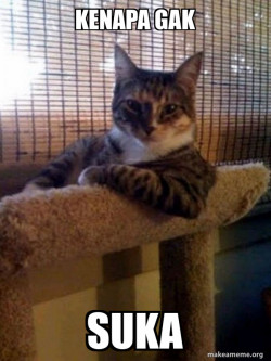 The Most Interesting Cat in the World