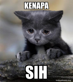 Confession Cat