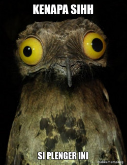 Weird Stuff I do Potoo