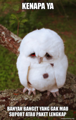 Sad Owl