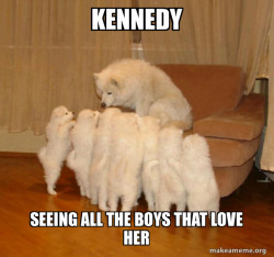 Storytelling Dog