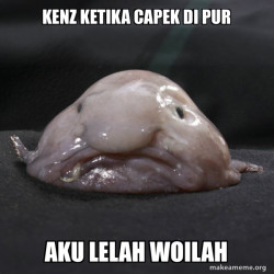 Blobfish