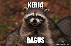 Evil Plotting Raccoon