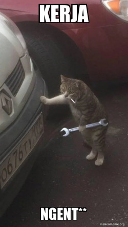 Mechanic Cat