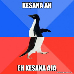 Socially Awkward Awesome Penguin