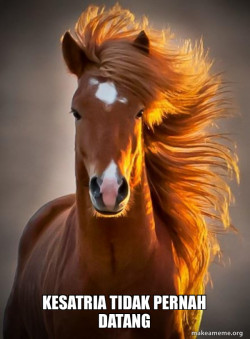 Ridiculously photogenic horse