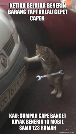 Mechanic Cat