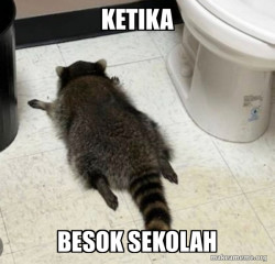 Drunk Raccoon