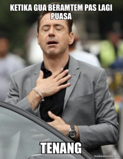 Tony Stark Relief