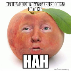 Impeached Donald Trump