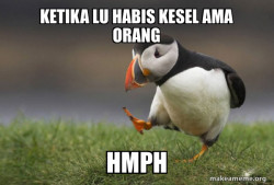 Unpopular Opinion Puffin